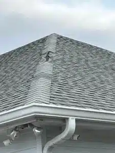 A grey squirrel is perched on the ridge of an asphalt-shingled roof by Halo Roofing. The roof has a white gutter system, and the sky in the background is partly cloudy. Three outdoor security lights are mounted beneath the roof's edge.