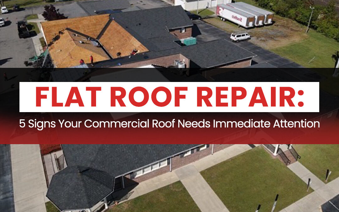 Flat Roof Repair: 5 Signs Your Commercial Roof Needs Immediate Attention